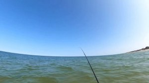 Рыбалка с берега на Куршской косе