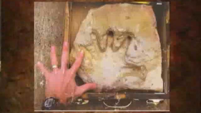 11 Dinosaurios 2 3 смотреть онлайн
