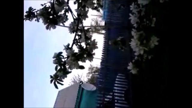 ОПИСАНИЕ ДЕРЕВЬЕВ И РЕК В РАЮ смотреть онлайн