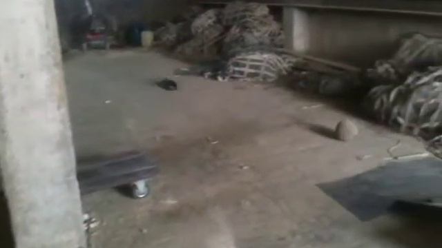 электро машинка смотреть онлайн