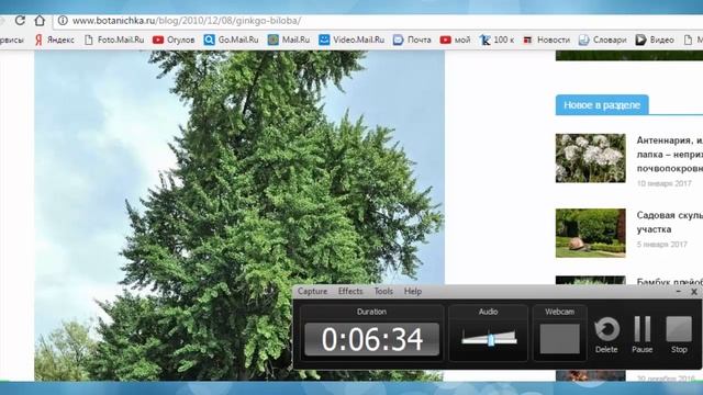 Ссылки перехода смотреть онлайн