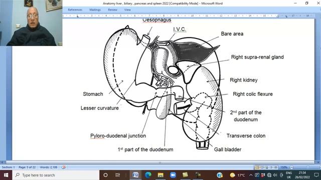 Anatomy GIT Module In English ( Liver, Part 1  ) ,  By Dr, Wahdan