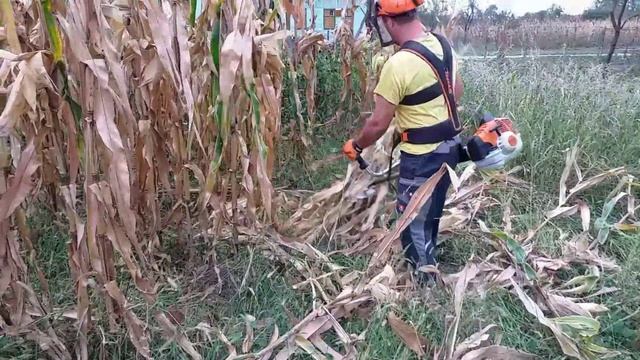 Garden cleaning with stihl fs 560 c-em смотреть онлайн