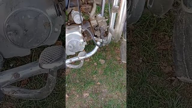 ОТСТРЕЛЫ НА АЛЬФЕ