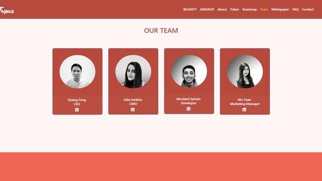 Обзор Tripus (TRIP): Что нужно знать о проекте? смотреть онлайн