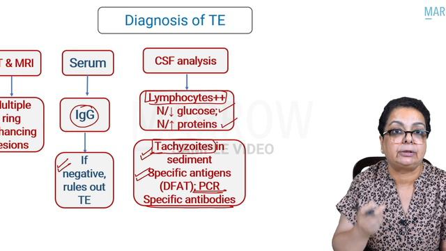 E6 Sample Video: Toxoplasmosis and Neurocysticercosis (Microbiology) смотреть онлайн