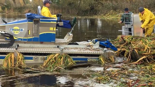 Нашу реку Донховка начали очищать. смотреть онлайн