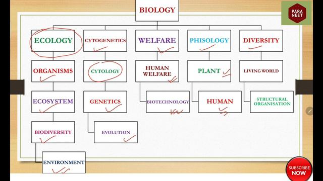NTA NEET PREPARATION BIOLOGY 40 DAY PLAN. How To Crack Neet ?
