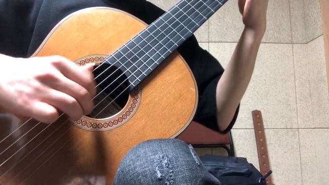 Etude no.2 - H. Villa Lobos смотреть онлайн