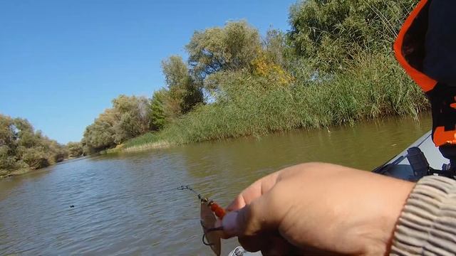 Рыбалка в Астрахани на сазана. Володарский район. Астрахань. Осень 2020. смотреть онлайн