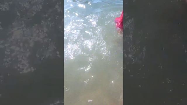 Как научится плавать под водой смотреть онлайн