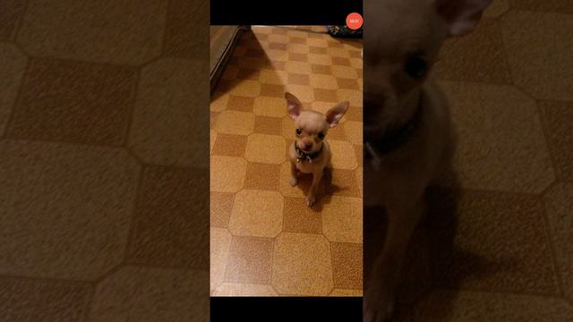 Бесплатно пиар просити смотреть онлайн