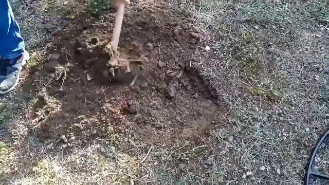 Minelab E-Trac Arazi Gezmeleri смотреть онлайн