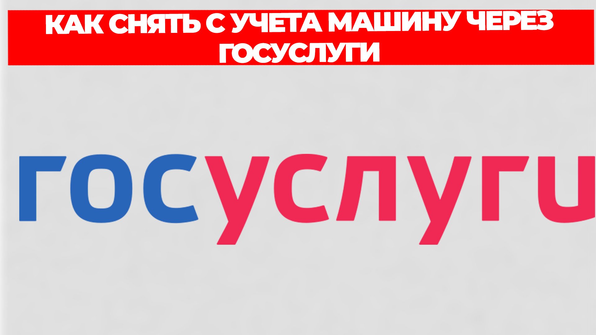 Всезнающий Енот