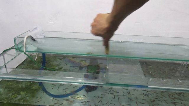 ПРОСТО ФИЛЬТР ДЛЯ АКВАРИУМА смотреть онлайн