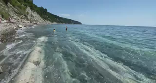 Бетта август 2023. смотреть онлайн