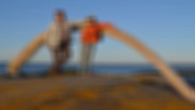 ОСЕННИЕ МОТИВЫ,,, смотреть онлайн