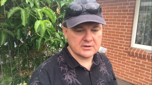 ПОРТУЛАК ОГОРОДНЫЙ: своим принесу БЕСПЛАТНО. [1Australia]#2269 смотреть онлайн