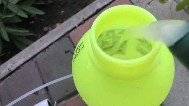 ЧЕМ ОБРАБОТАТЬ РОЗЫ ?.ЧЁРНАЯ ПЯТНИСТОСТЬ И ОПАДАЮТ ЛИСТЬЯ..#обработка роз#болезни#что делать # смотреть онлайн