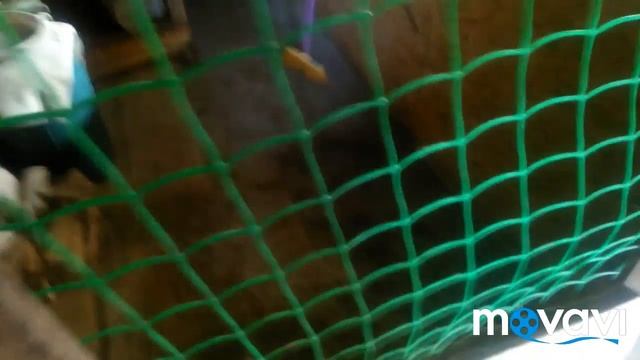 Делаем гнёзда уткам, цесарка, куры;))) смотреть онлайн