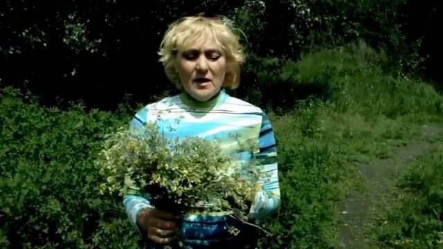 ?? КАК ЛЕЧИТЬ ЩИТОВИДКУ, УЛУЧШИТЬ РАБОТУ ПЕЧЕНИ - ЛАПЧАТКА СЕРЕБРИСТАЯ. НАРОДНАЯ МЕДИЦИНА.?? смотреть онлайн