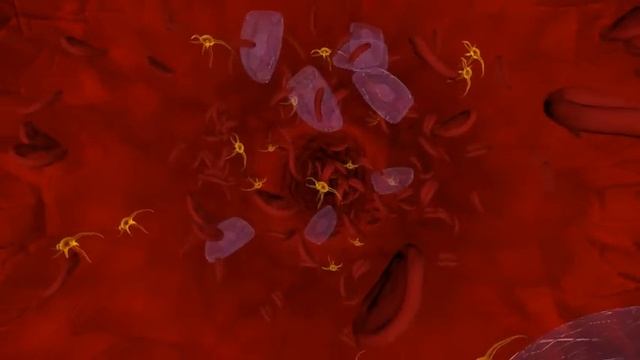 Inside a Blood Vessel смотреть онлайн