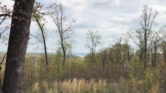 162 Acres! The Drive to the Property Video. Owner Financed land for Sale! Missouri! - ID#DC смотреть онлайн