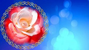 Футаж. Цветочный фон 103