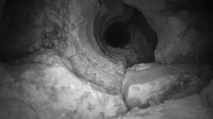 Закончилась вода в скважине