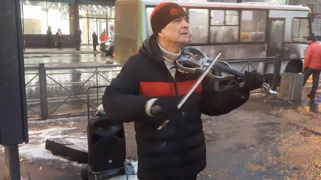 Скрипка Метро Ломоносовская Жил Был Пес Музей Пса смотреть онлайн