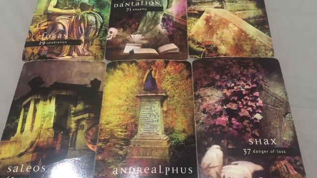 Cancer - Disgusting Display of Ignorance смотреть онлайн