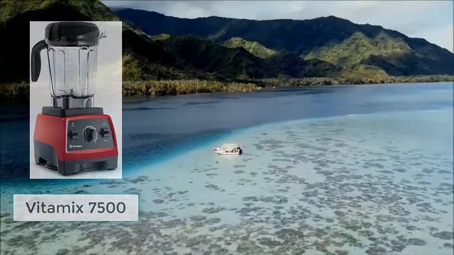 Comparison Between Vitamix 7500 vs 750: Which is the best vitamix model? смотреть онлайн