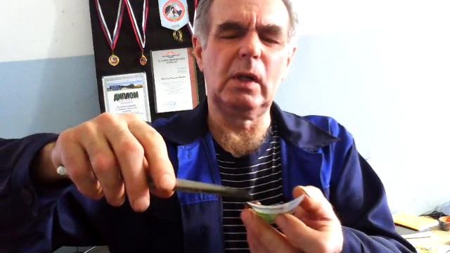 Болеют ли черви. смотреть онлайн