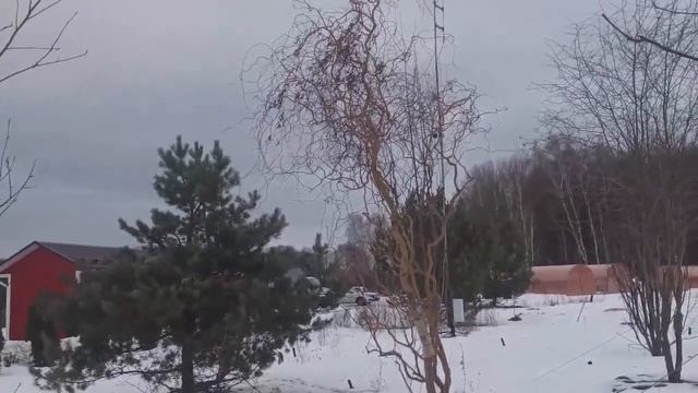 Подключили безлимитный интернет в поселке Славный, Арсеньевского района. До 100 Мбит/сек. смотреть онлайн