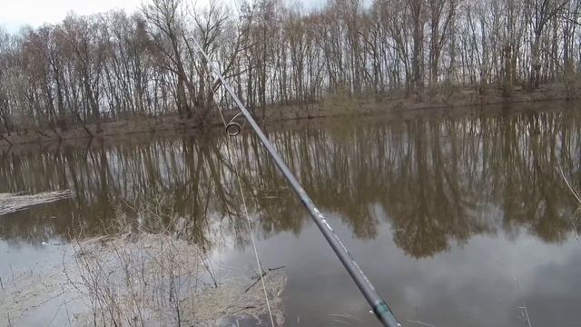 Береговой легкий джиг весной! Рыбалка на малой реке Сейм в нерестовый запрет. Спиннинг в апреле. смотреть онлайн