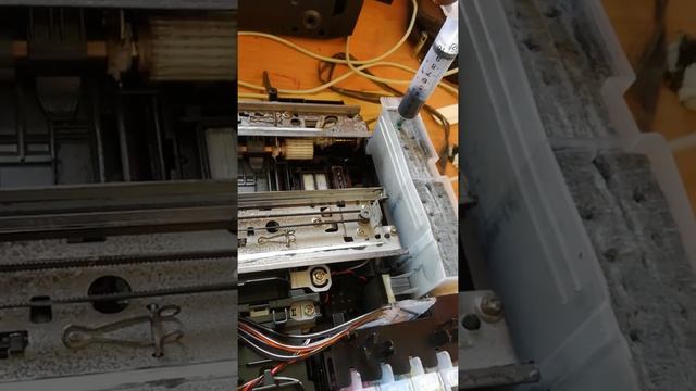 How to clean your Brother Printer Waste ink tank смотреть онлайн