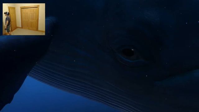 TheBlu VR #2 | Blue Whale Encounter (HTC Vive Gameplay)