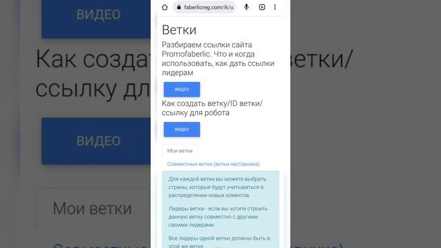 Настройка автоматических регистраций в совместные ветки наставника и партнёров. Построение структур