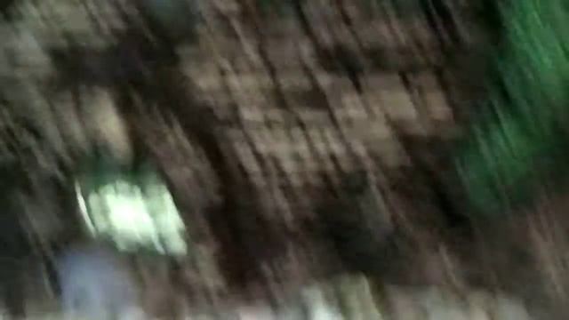 Мальки гуппи отсаженые в маленький аквариум смотреть онлайн