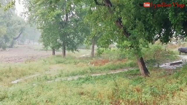 Barsat Ke Mausam Me || By Geely Boy смотреть онлайн