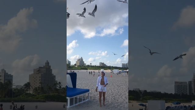 Даже чаек кормлю цельнозерновыми хлопьями ? смотреть онлайн