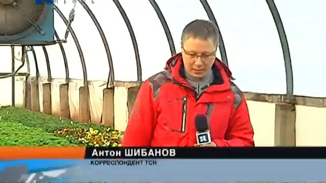 Цветы смотреть онлайн