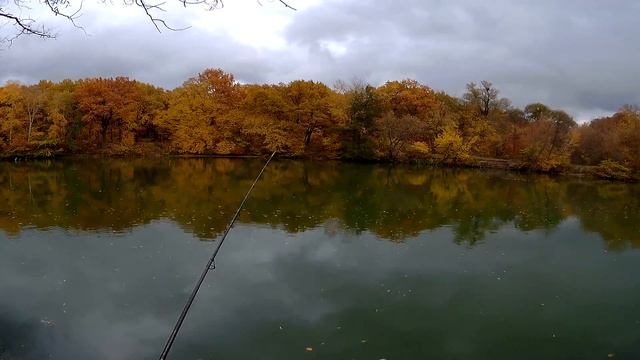 Ловля судака с берега смотреть онлайн