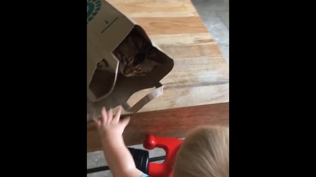 ГОВОРЯЩИЙ КОТ КОТОЗИЛЛА ЗАГОВОР КОМЕДИЙНЫЙ СЕРИАЛ ШОУ ПРАНКИ МУЛЬТИКИ ДЛЯ ДЕТЕЙ смотреть онлайн