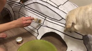 Машина из папье-маше