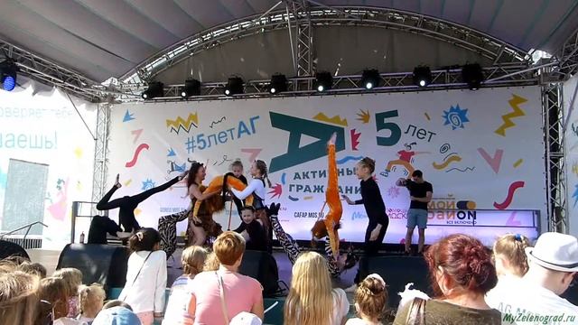 Цирк сестер Фоминых. Большие кошечки смотреть онлайн