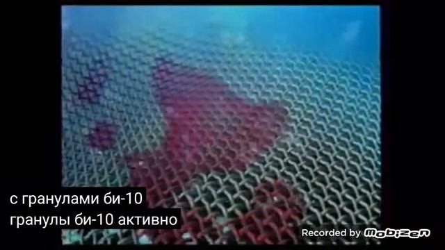 bimax family 2006 реклама смотреть онлайн