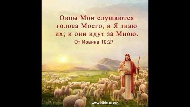 Слава Иисусу Христу!!!! смотреть онлайн