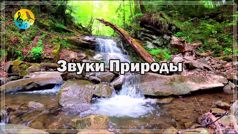 Релаксация ? Звуки Природы. Расслабляющий Водопад ? Звуки Природы Для Сердца И Сосудов смотреть онлайн