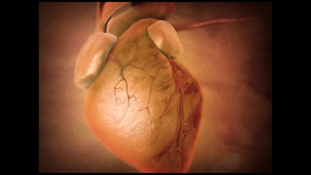 Ролики против курения 11 - Курение